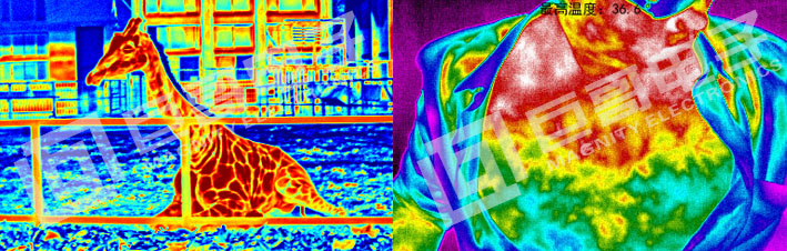 巨哥电子-红外热成像仪示例图